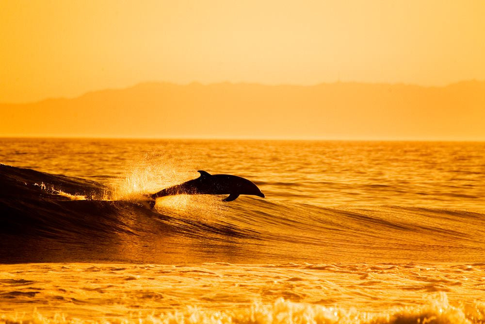 Katin Celebrates #WorldOceansDay