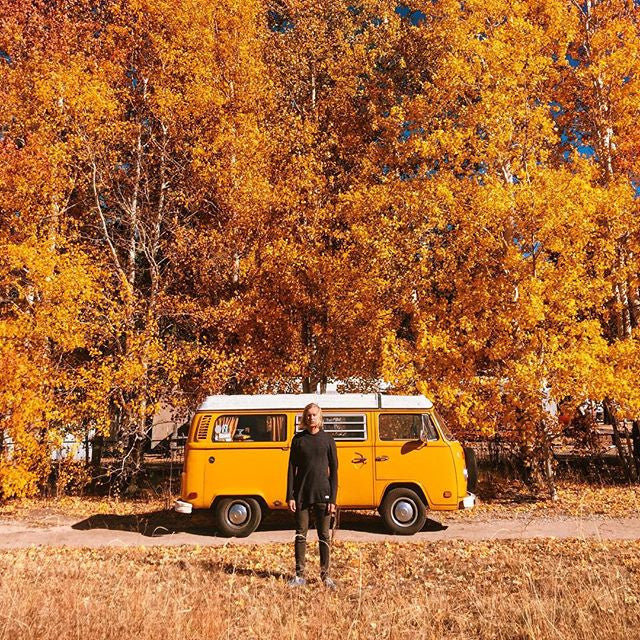 The Colors of Fall