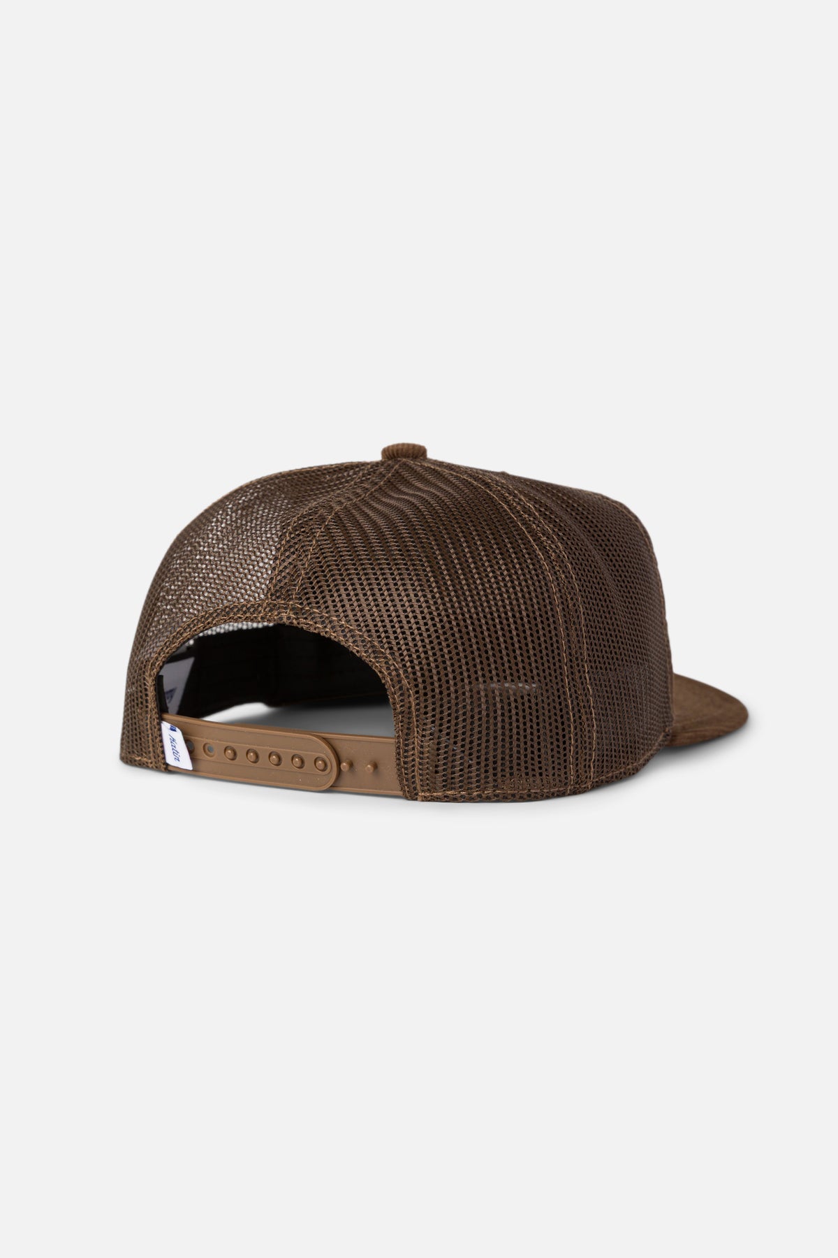 #color_brown