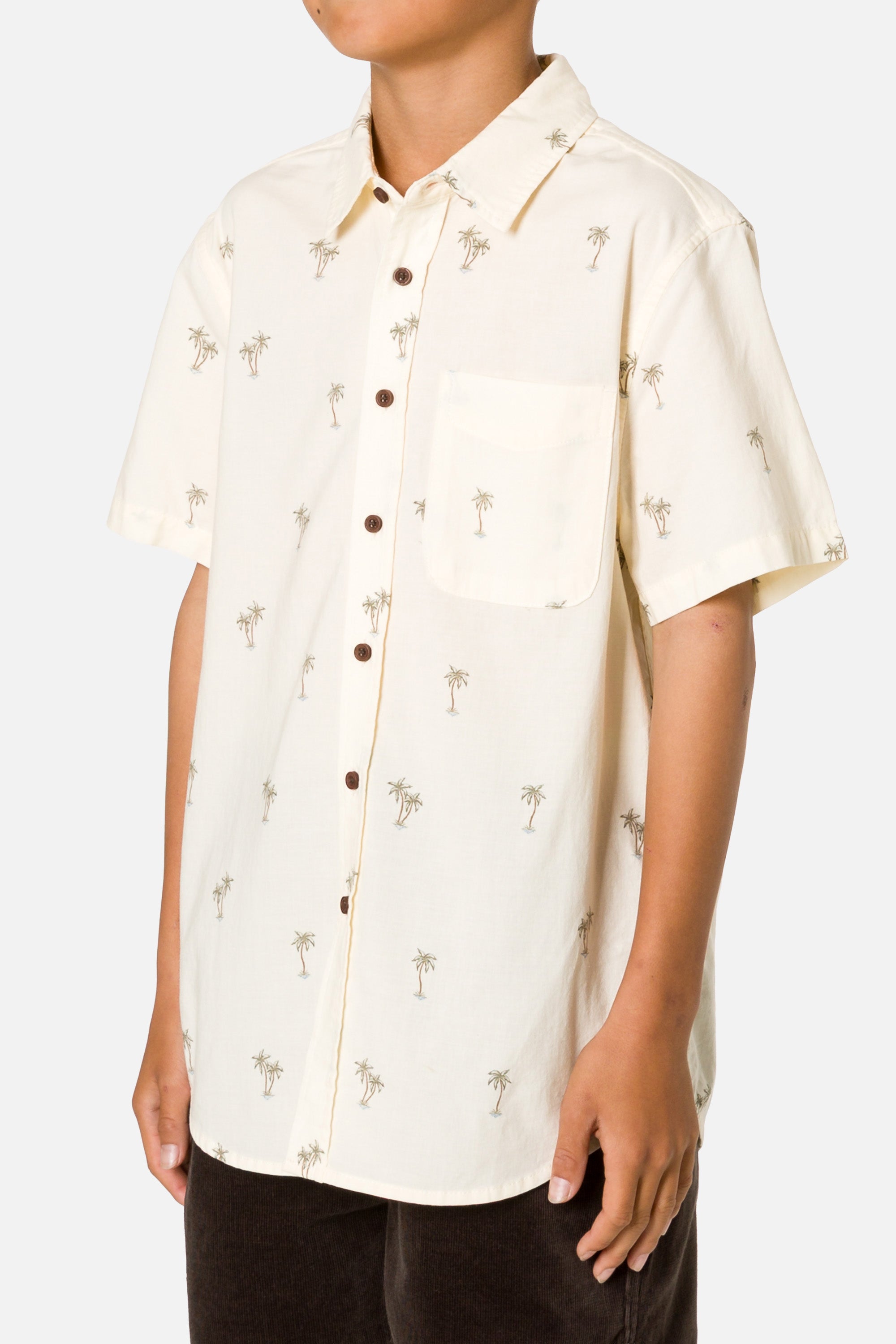 #color_arctic wolf
