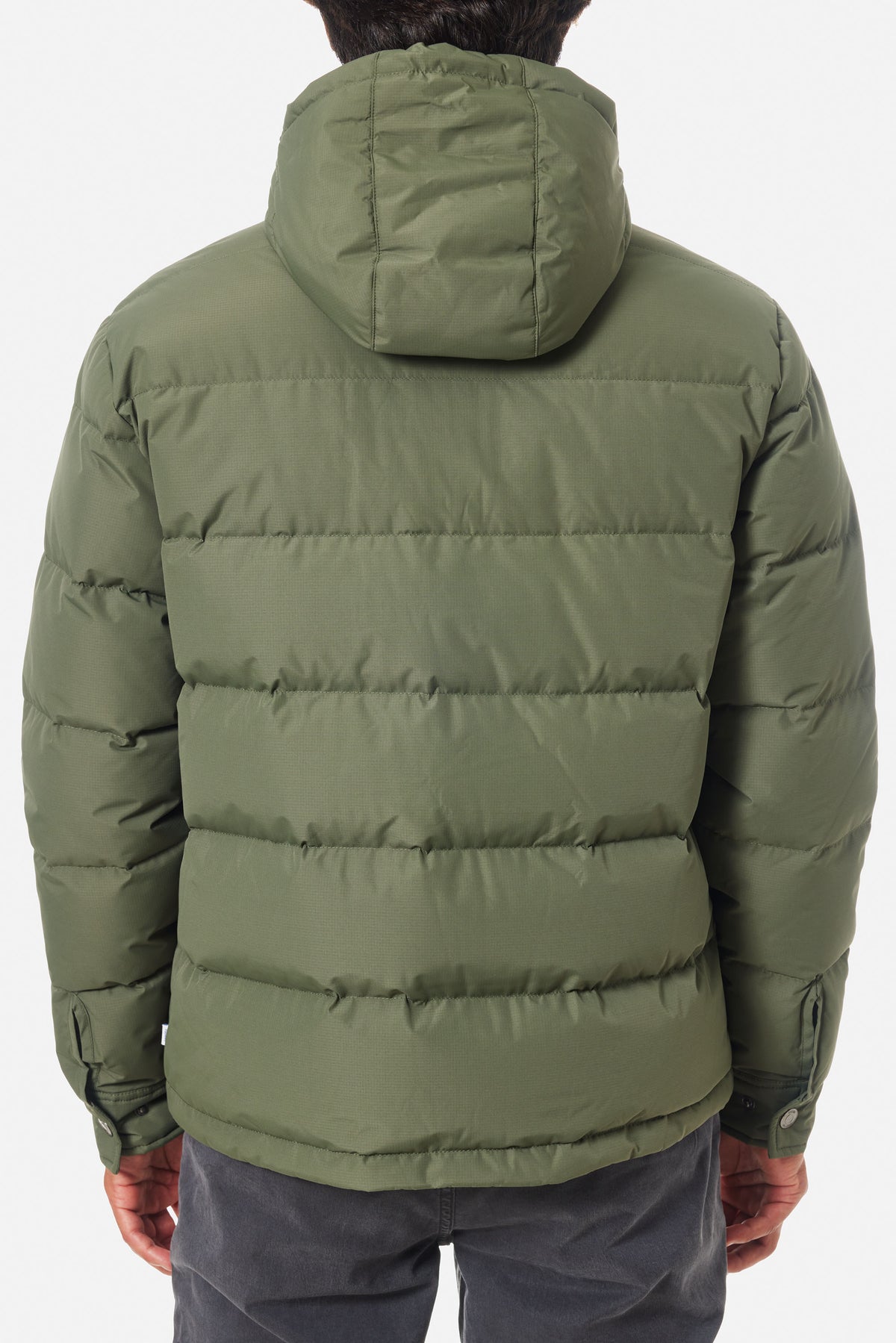 Katin OTG Summit Hooded Down Puffer in Thyme with a stacked fill pattern, on model, back #color_thyme