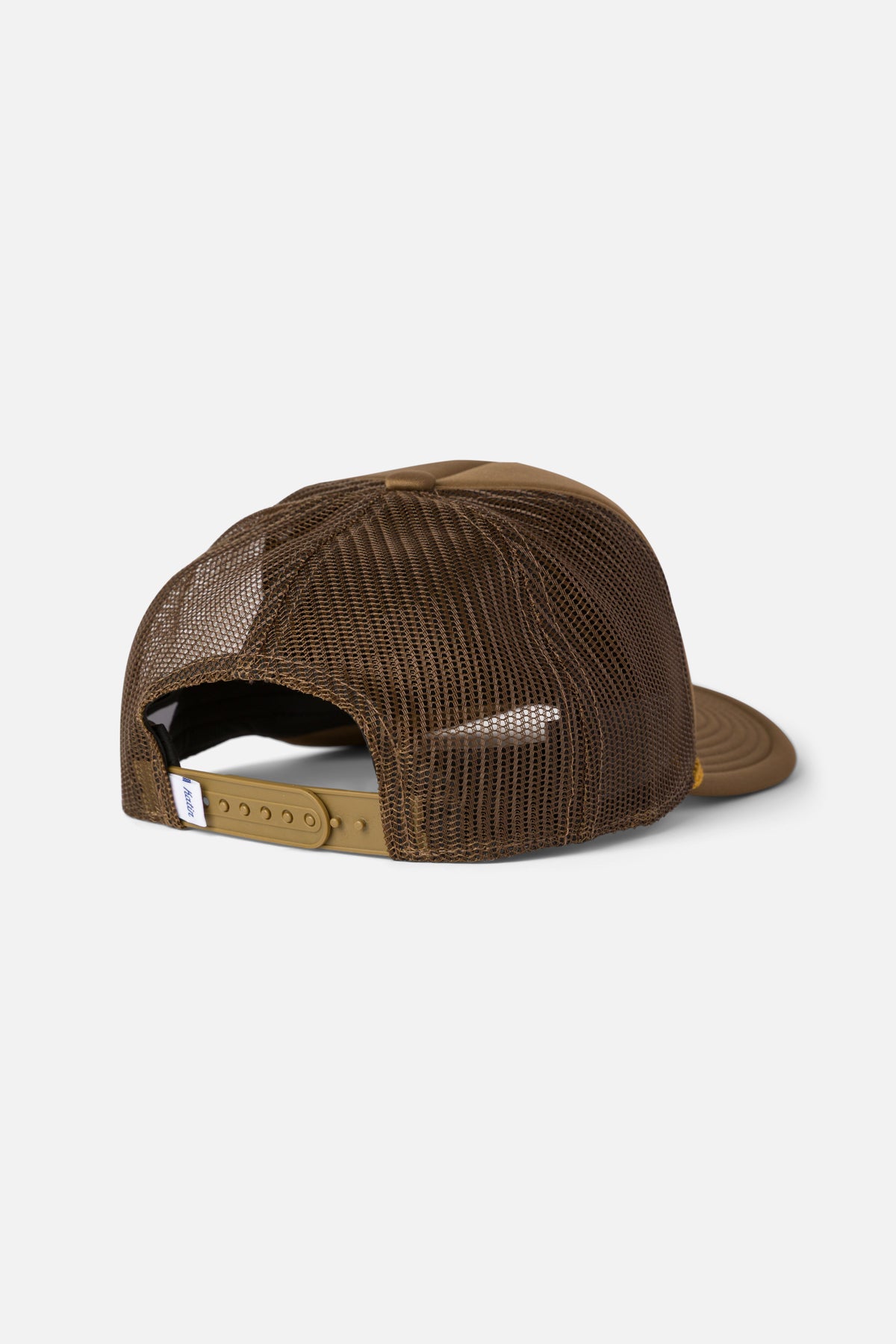 #color_light brown